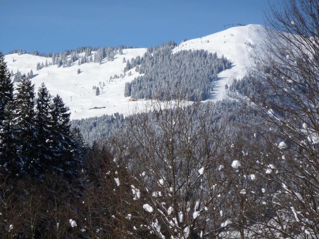 Appartement Ripper Saalbach-Hinterglemm Exteriör bild